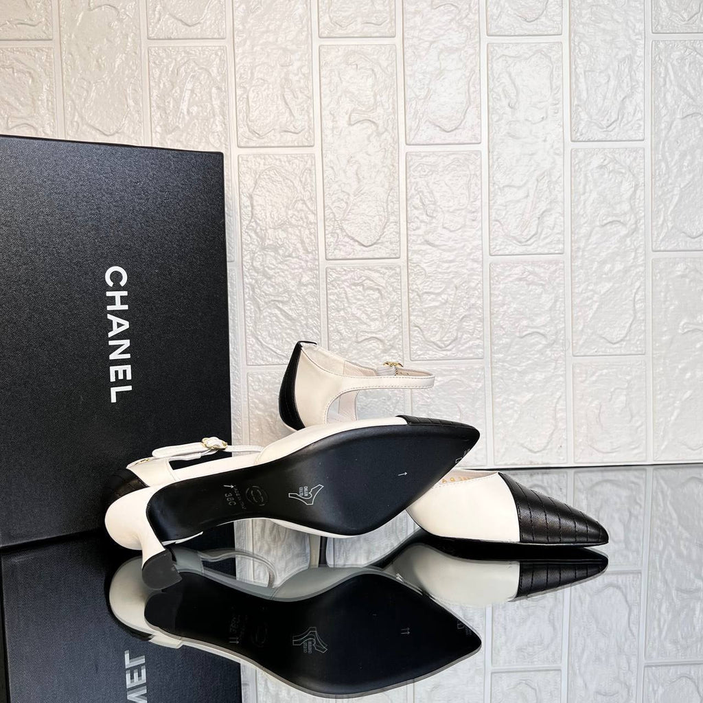 Agneau Noir & blanc